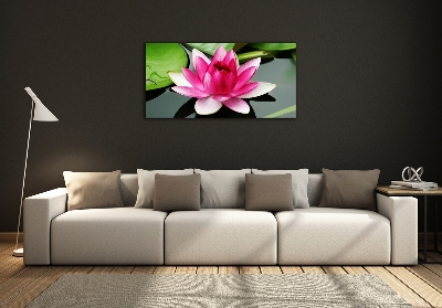 Quadro su vetro Ninfea