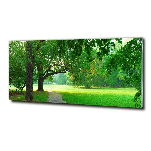 Quadro vetro Parco in autunno