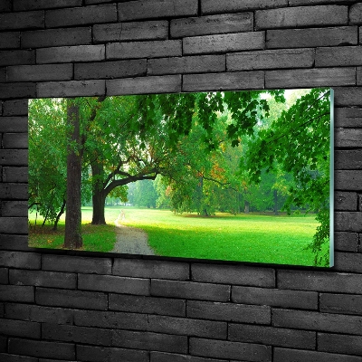 Quadro vetro Parco in autunno