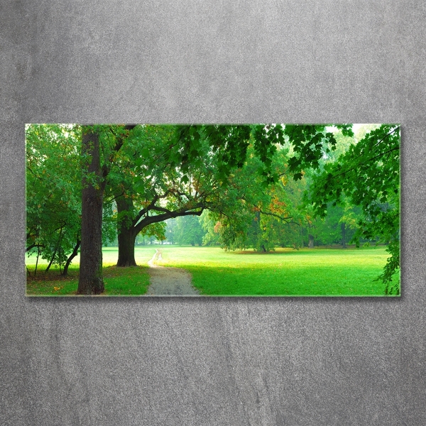 Quadro vetro Parco in autunno