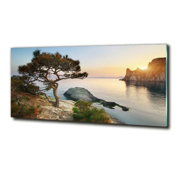 Quadro su vetro Un albero in riva al mare