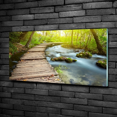 Quadro su vetro Sentiero lungo il fiume