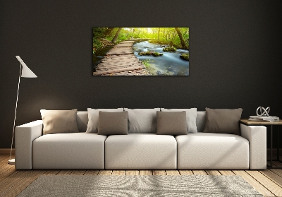 Quadro su vetro Sentiero lungo il fiume