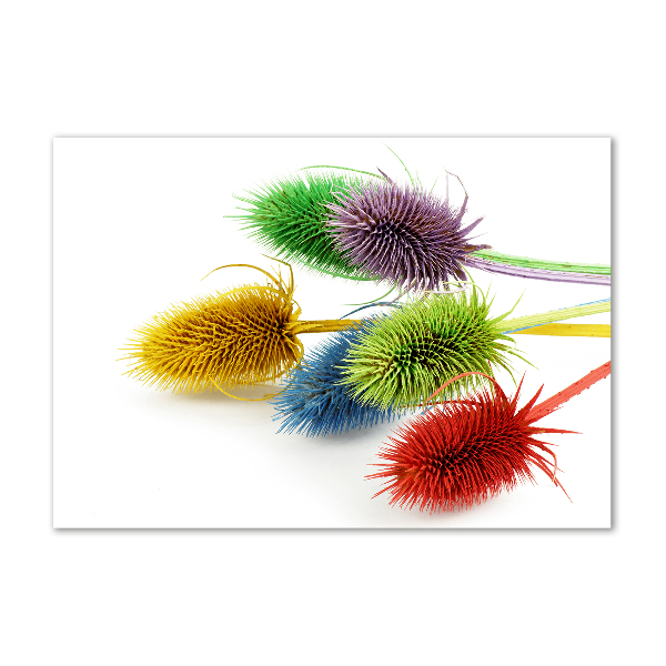 Quadro in verde Cardo