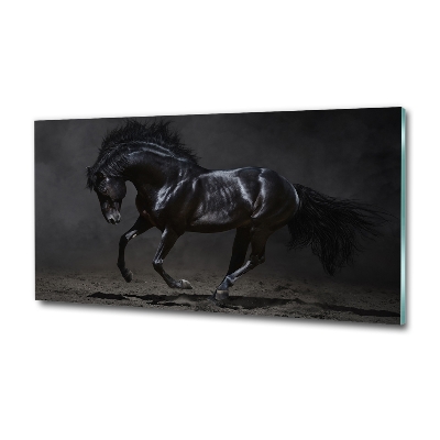 Quadro su vetro Cavallo oscuro