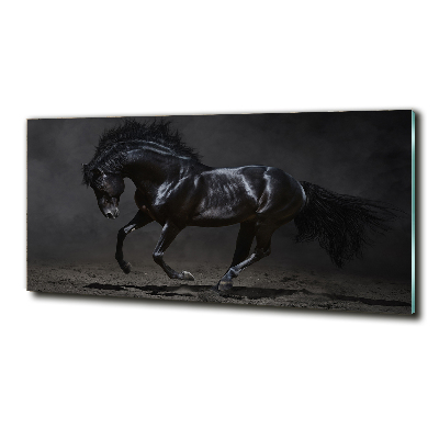 Quadro su vetro Cavallo oscuro