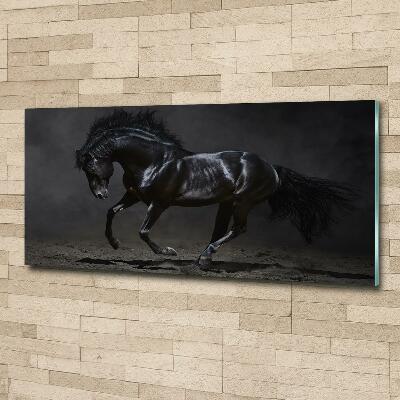 Quadro su vetro Cavallo oscuro