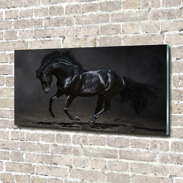 Quadro su vetro Cavallo oscuro