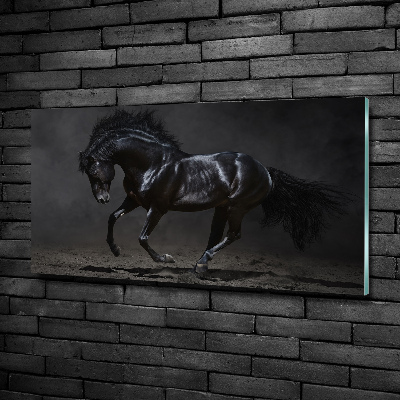 Quadro su vetro Cavallo oscuro