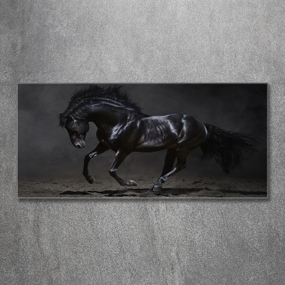 Quadro su vetro Cavallo oscuro