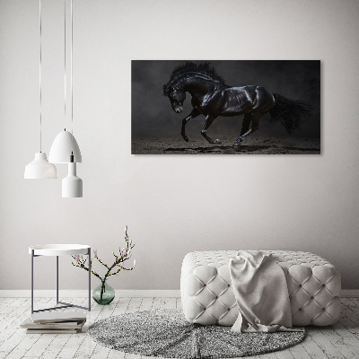 Quadro su vetro Cavallo oscuro