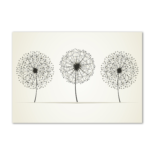 Quadro su vetro Denti di leone