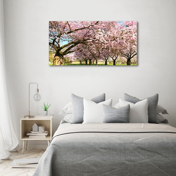 Quadro vetro Alberi di ciliegio