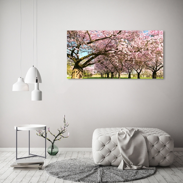 Quadro vetro Alberi di ciliegio