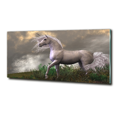Quadro su vetro Unicorno grigio