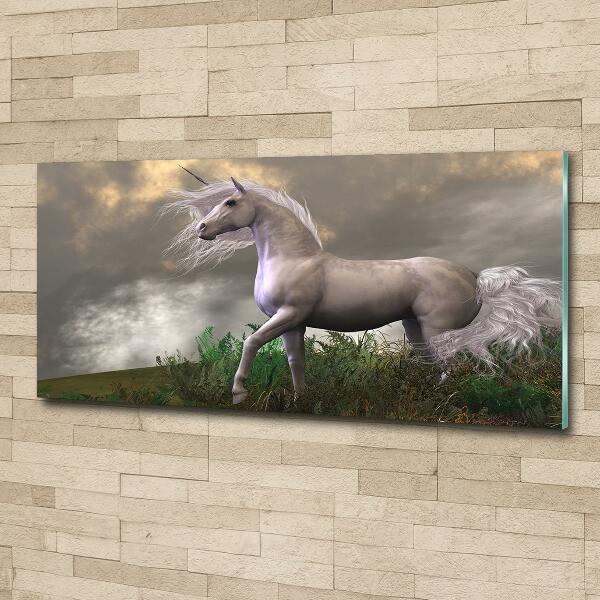 Quadro su vetro Unicorno grigio