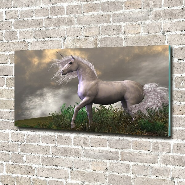 Quadro su vetro Unicorno grigio
