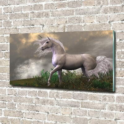 Quadro su vetro Unicorno grigio
