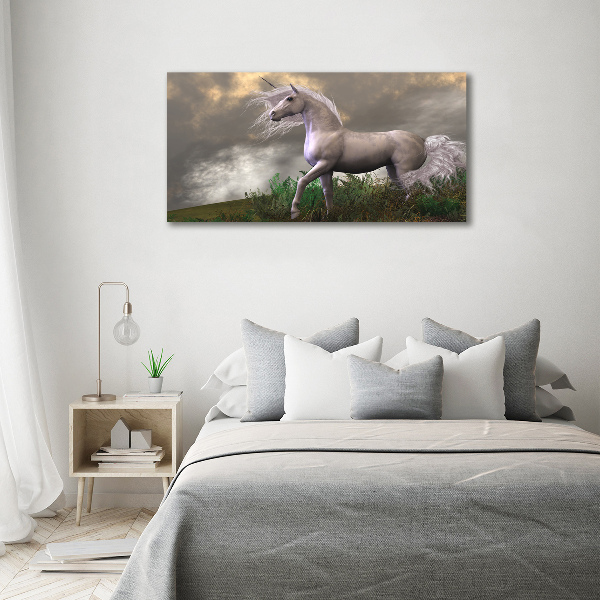 Quadro su vetro Unicorno grigio