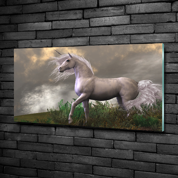 Quadro su vetro Unicorno grigio