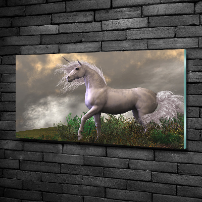 Quadro su vetro Unicorno grigio