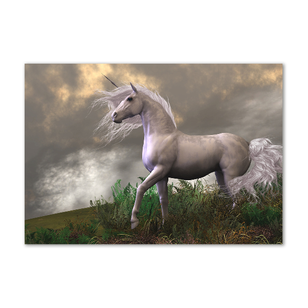 Quadro su vetro Unicorno grigio