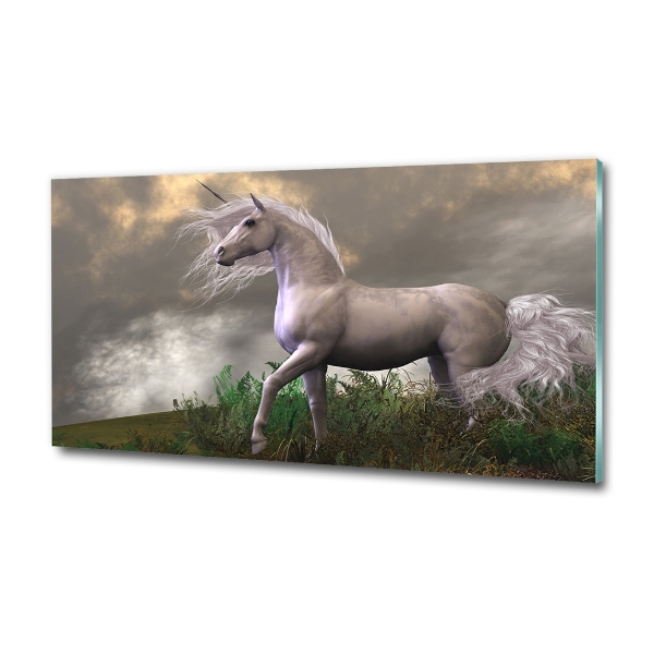 Quadro su vetro Unicorno grigio