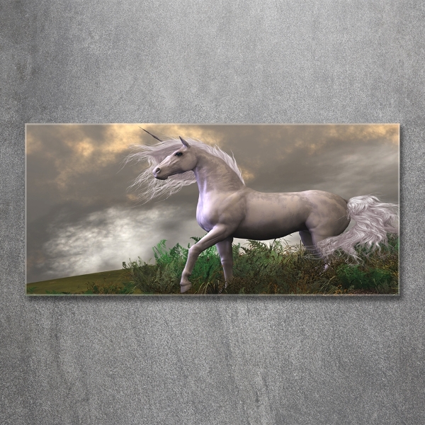 Quadro su vetro Unicorno grigio