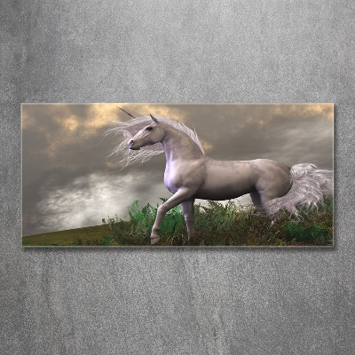Quadro su vetro Unicorno grigio