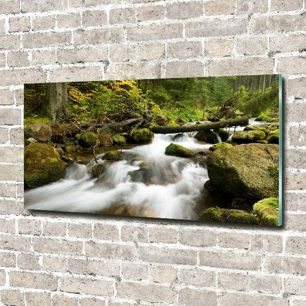 Quadro in verde Torrente Olczyski