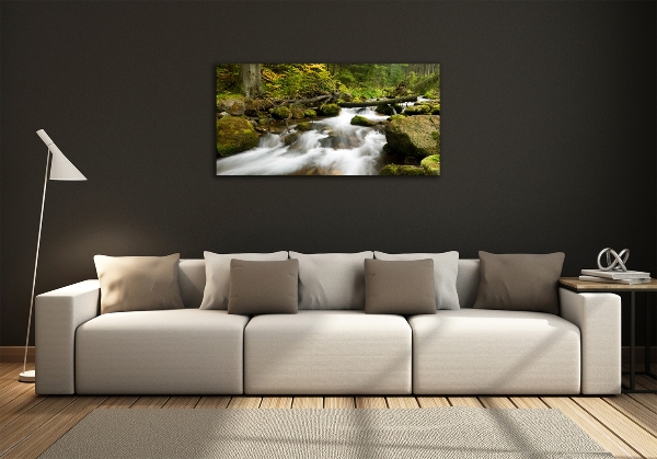 Quadro in verde Torrente Olczyski