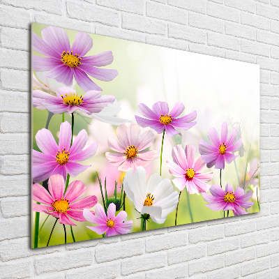 Quadro su vetro Fiori nel prato
