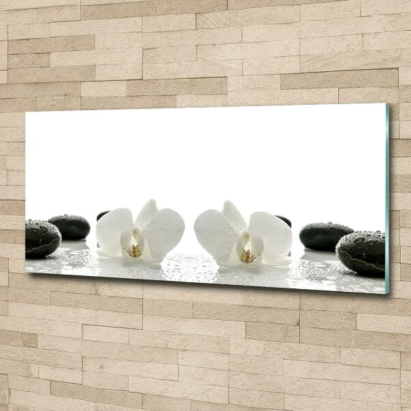 Quadro su vetro Orchidea