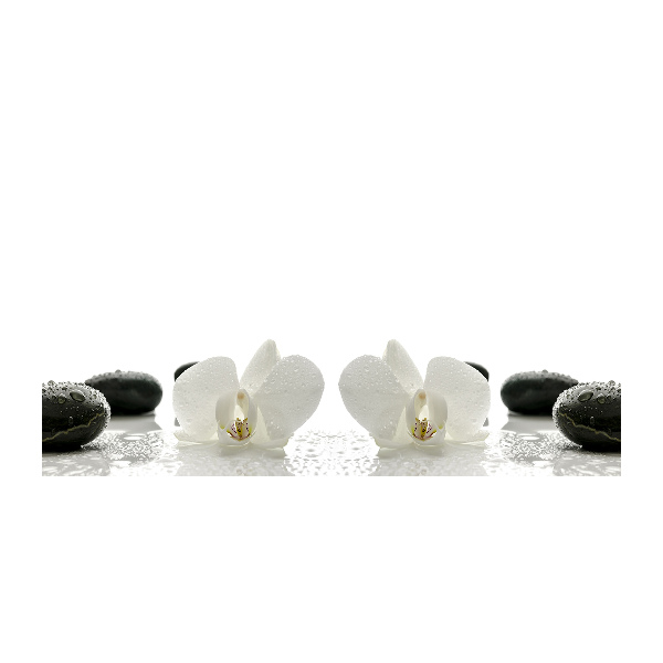 Quadro su vetro Orchidea