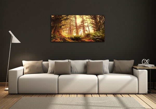Quadro su vetro Foresta pluviale