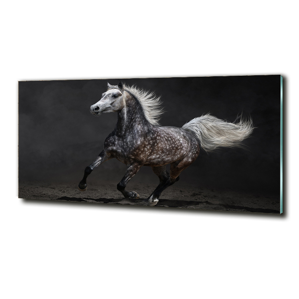 Quadro su vetro Cavallo arabo grigio