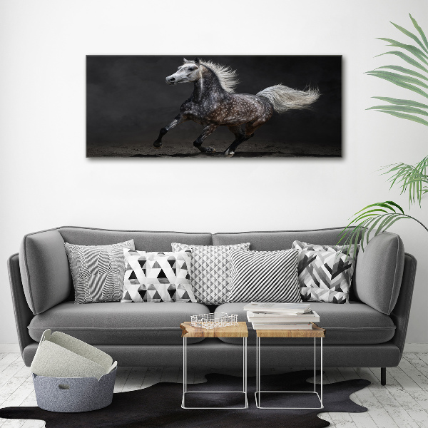 Quadro su vetro Cavallo arabo grigio