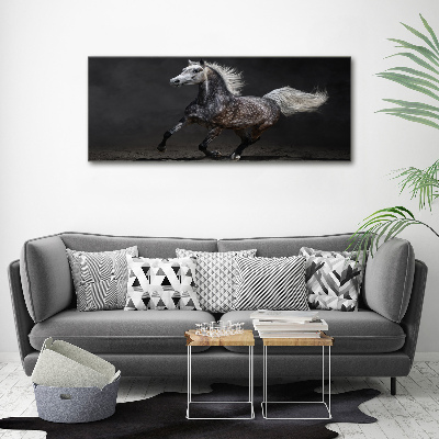 Quadro su vetro Cavallo arabo grigio
