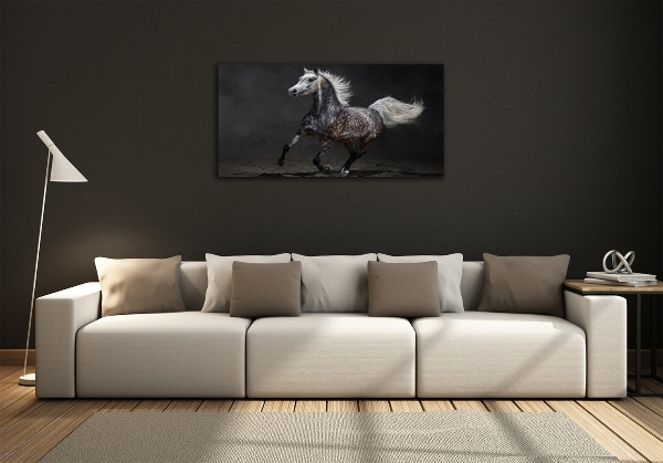 Quadro su vetro Cavallo arabo grigio