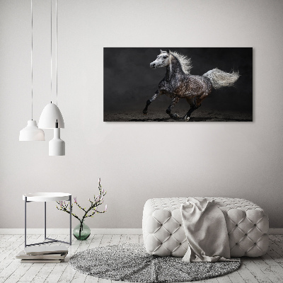 Quadro su vetro Cavallo arabo grigio