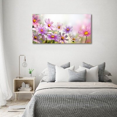 Quadro in vetro Fiori nel prato