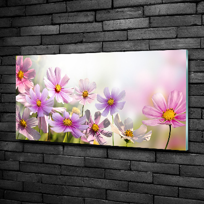 Quadro in vetro Fiori nel prato