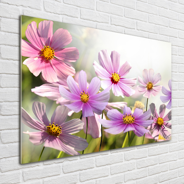 Quadro in vetro Fiori nel prato