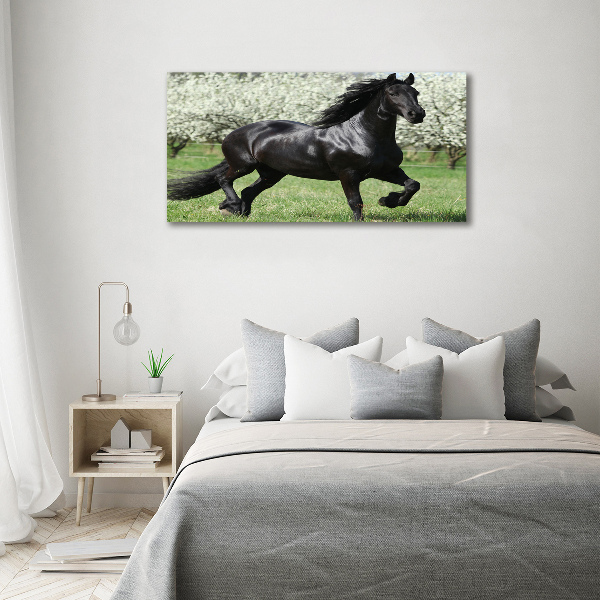 Quadro su vetro Fiori di cavalluccio nero