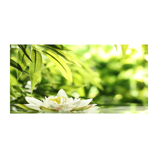 Quadro su vetro Ninfea