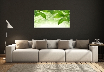Quadro vetro Foglie verdi