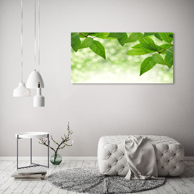 Quadro vetro Foglie verdi