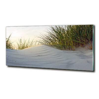 Quadro in verde Dune costiere