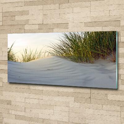 Quadro in verde Dune costiere