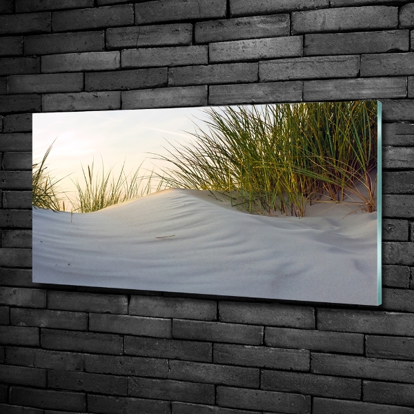 Quadro in verde Dune costiere
